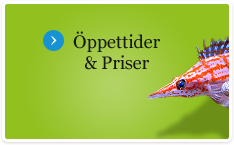 puff_openhours_prices-2047876